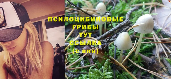 хмурый Баксан