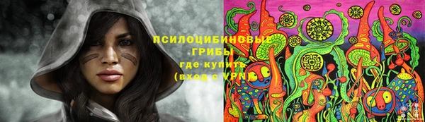 молекула духа Балахна
