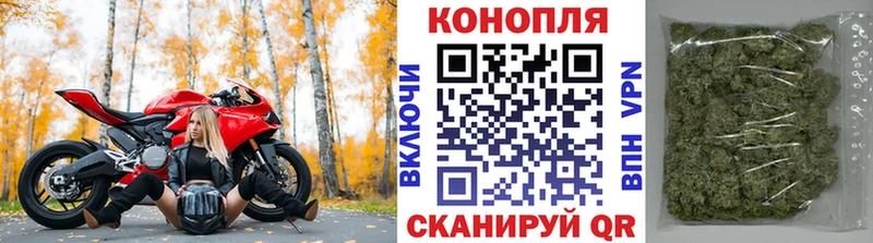 Каннабис план  дарнет шоп  Нижние Серги 